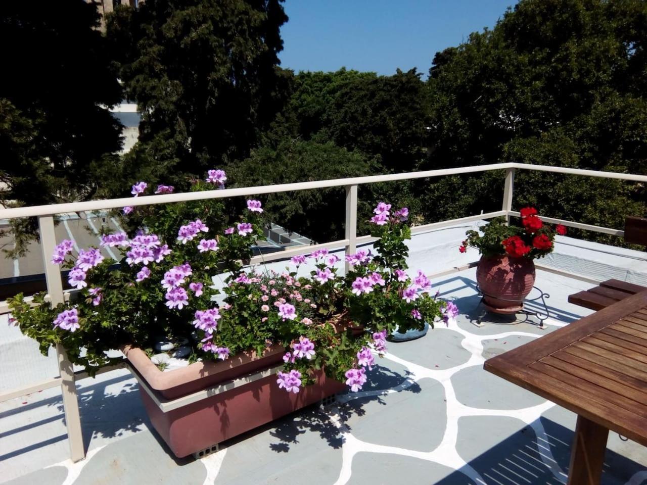 Park House -Beside The Medieval Town Of Rhodes Rhodes City 외부 사진