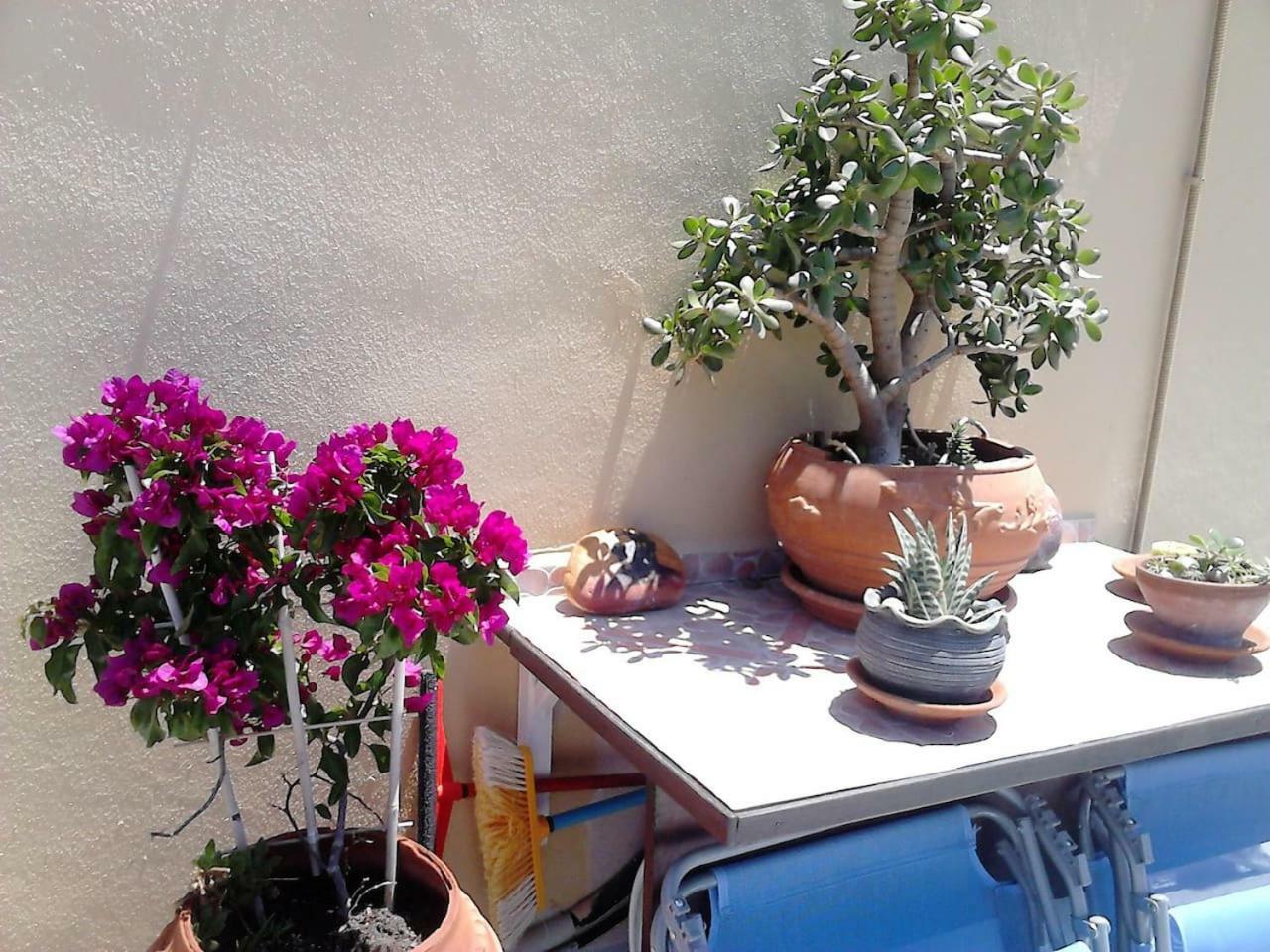 Park House -Beside The Medieval Town Of Rhodes Rhodes City 외부 사진